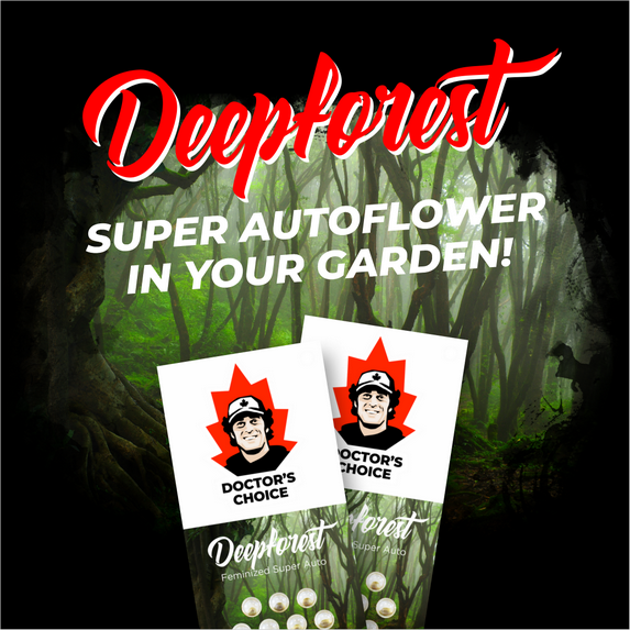 Deepforest Super Auto Going on Sale!