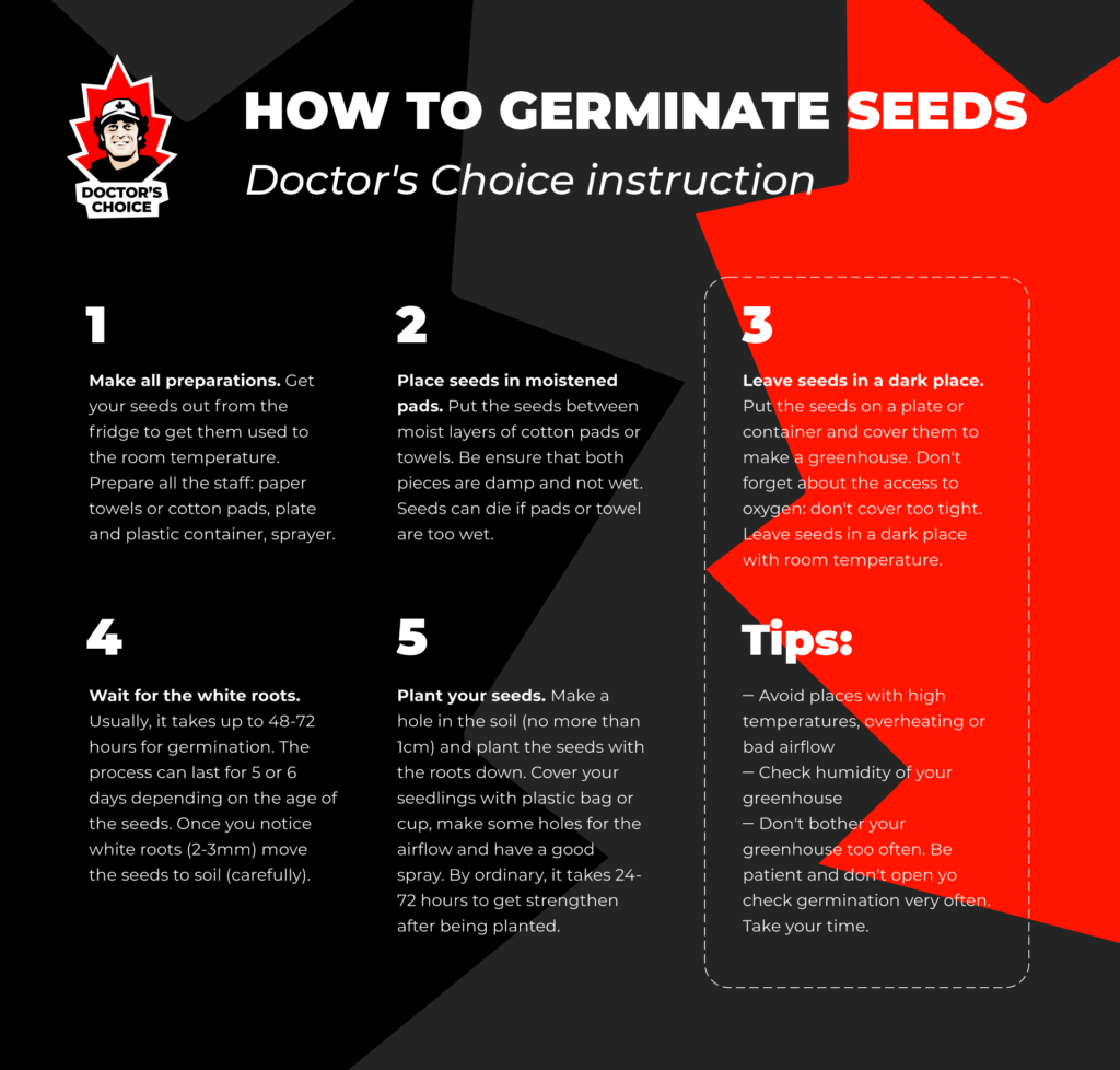 How to germinate seeds?