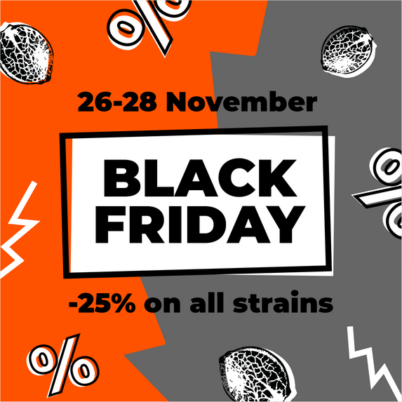 Black Friday %