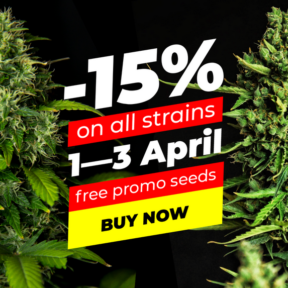 -15% ON ALL STRAINS!