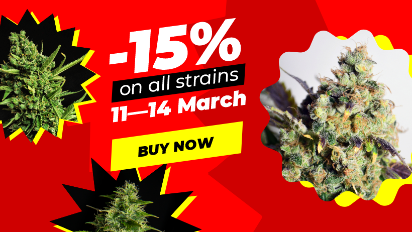 -15% on All strains during Spannabis!