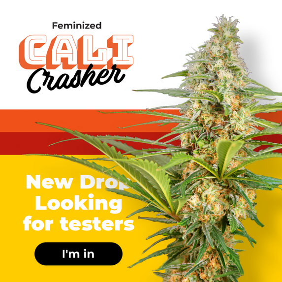 NEW DROP 2022 – Cali Crasher💥 Looking for testers!