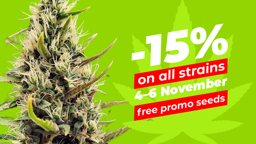 15% off during Cannafest'22