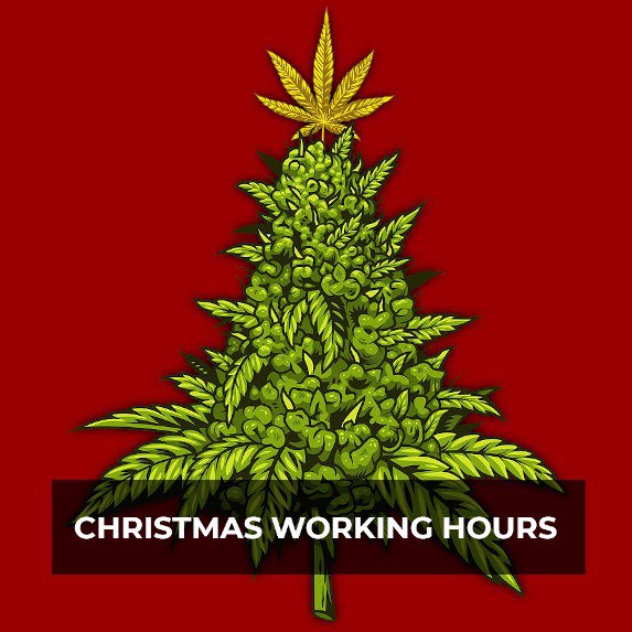 Working hours during the Christmas time 🎄