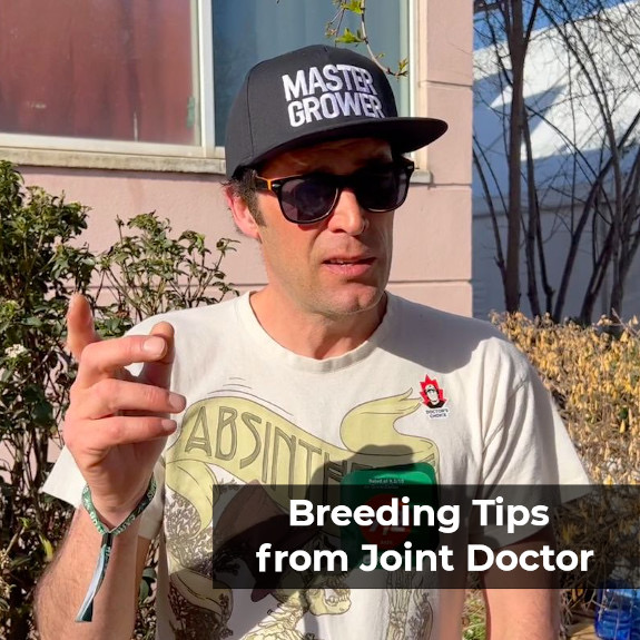 Breeding Tips from Joint Doctor