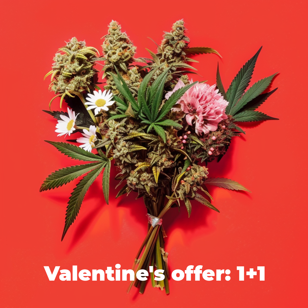 Special Valentine’s Day offer❣️