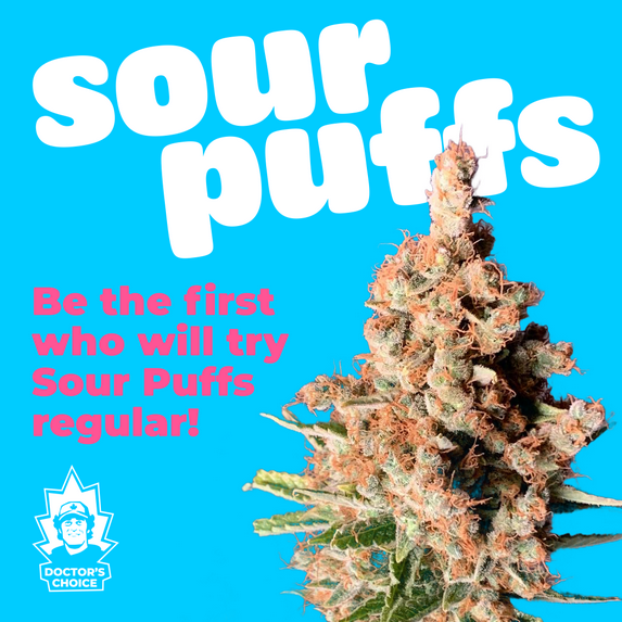 We’re looking for testers for the new Sour Puffs regular strain!