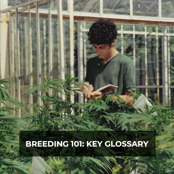 Breeding 101: Key Glossary