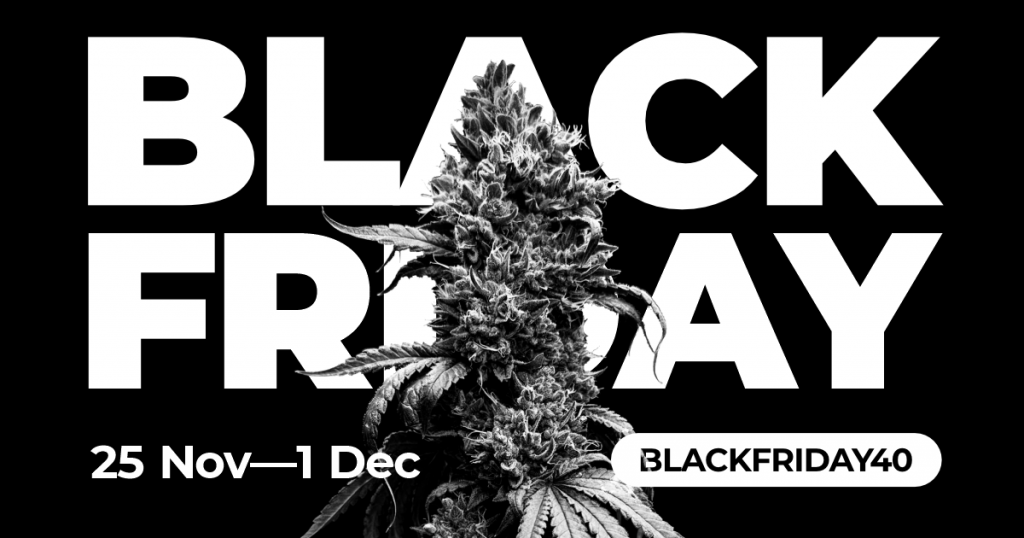 Black Friday!