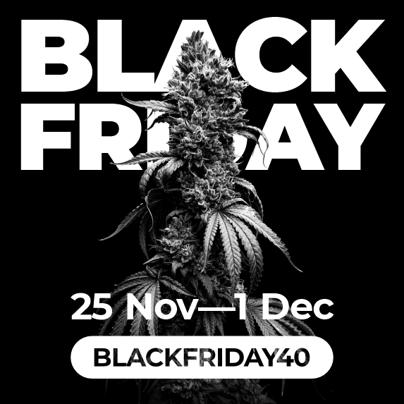 Black Friday!