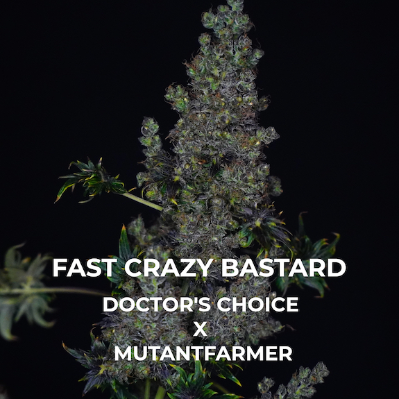 Fast Crazy Bastard: second “Be a Breeder” release
