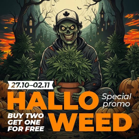 Happy HalloWeeD: buy 2 – get 1 free!