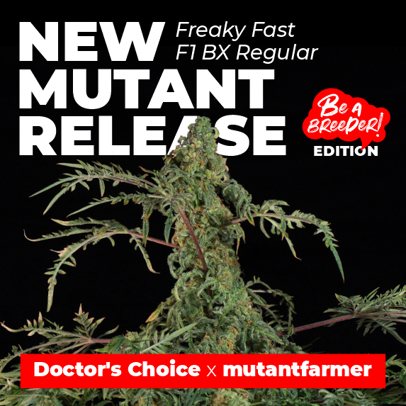 Doctor’s Choice Be a Breeder edition  - Freaky Fast F1 BX cannabis strain