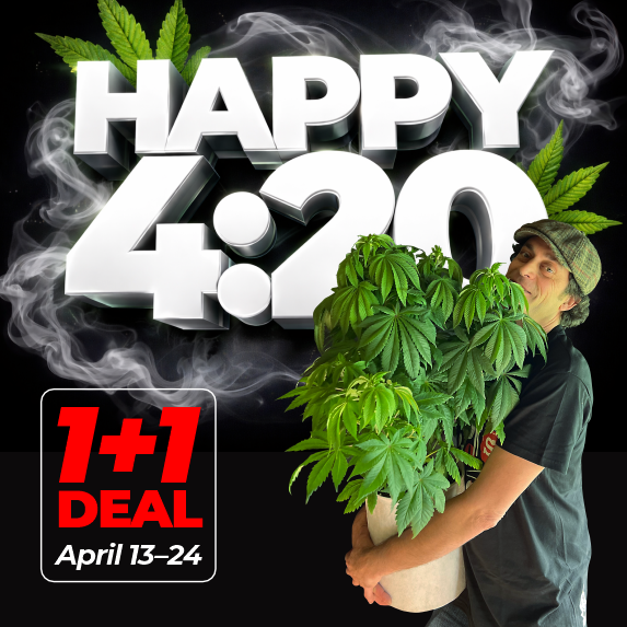 Doctor's Choice 420 Deal — Buy One Get One Free on autoflowering and feminized seeds, April 13–24, 2026