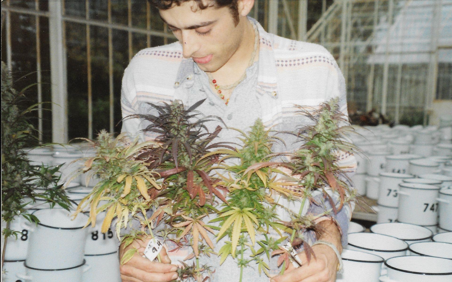 Sasha breeding Doctor's Choice Lowryder autoflower genetics