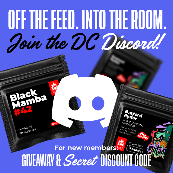 Doctor's Choice Discord banner - mobile
