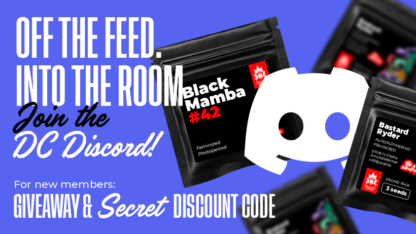 Join the Doctor's Choice Discord for a member giveaway and secret discount code