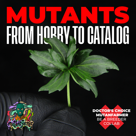 Mutants: From Hobby to Catalog — Doctor's Choice × mutantfarmer Be a Breeder collaboration