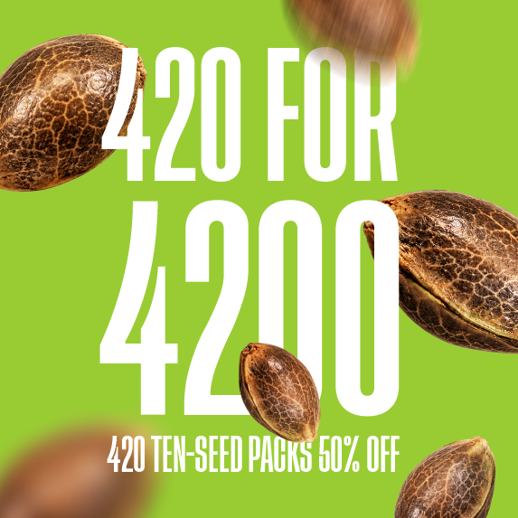 Doctor’s Choice 420 for 4,200 promotion: 420 ten-seed packs at 50% off