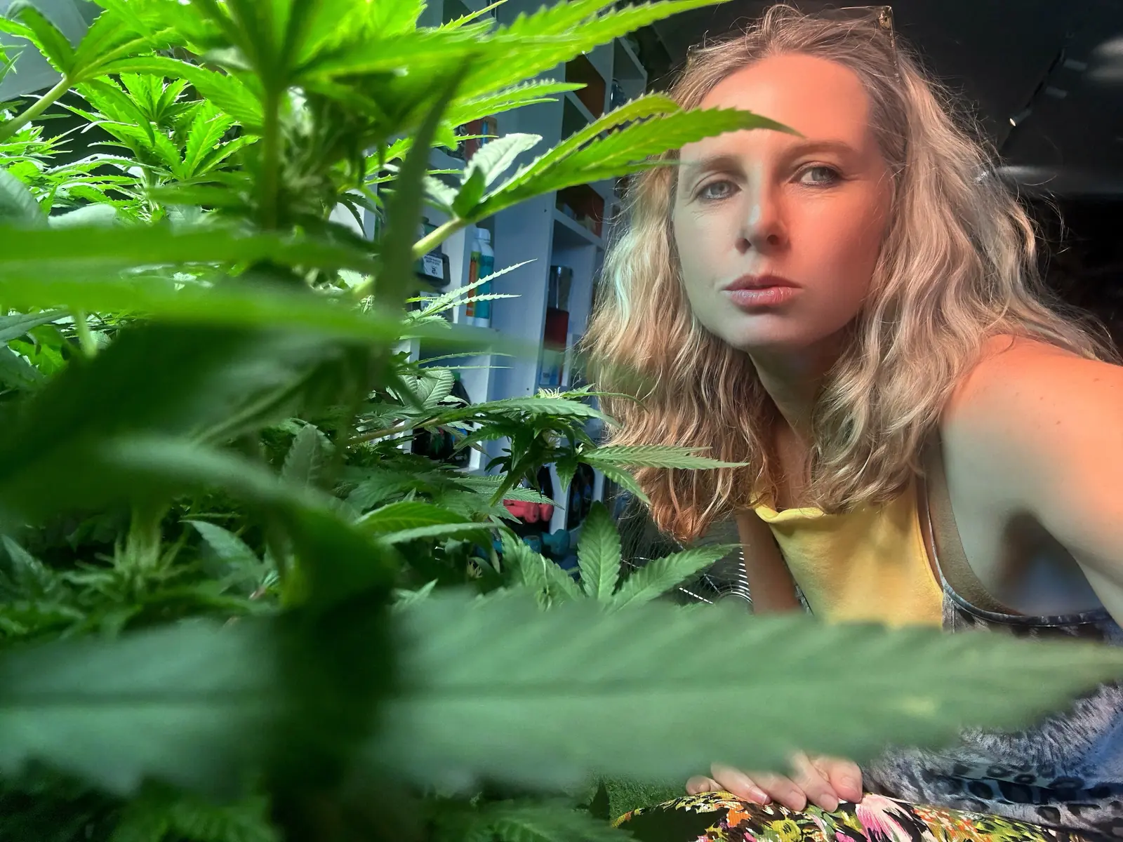 Jane among cannabis plants in her grow room