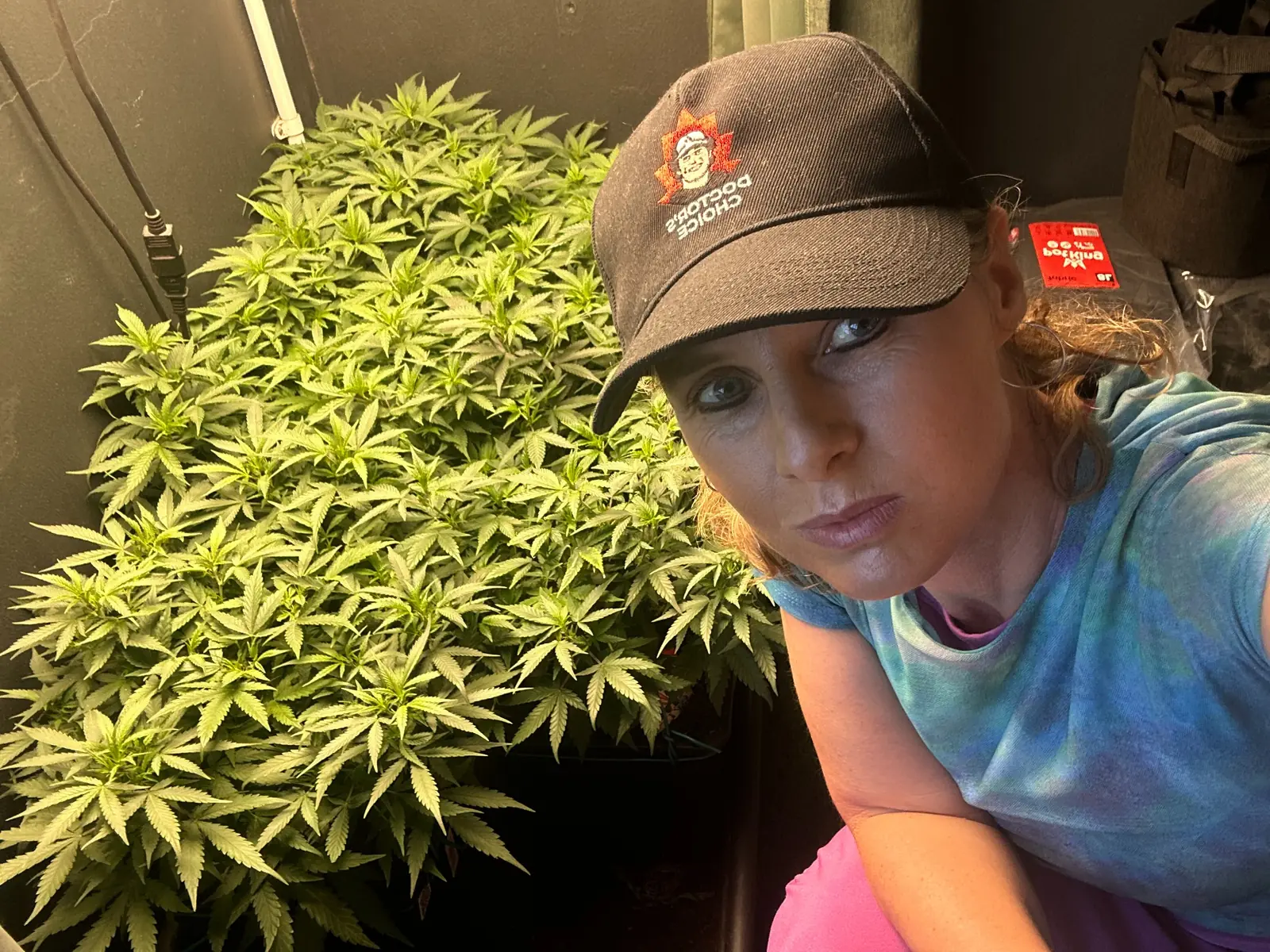 Jane beside a canopy of cannabis plants in an indoor grow