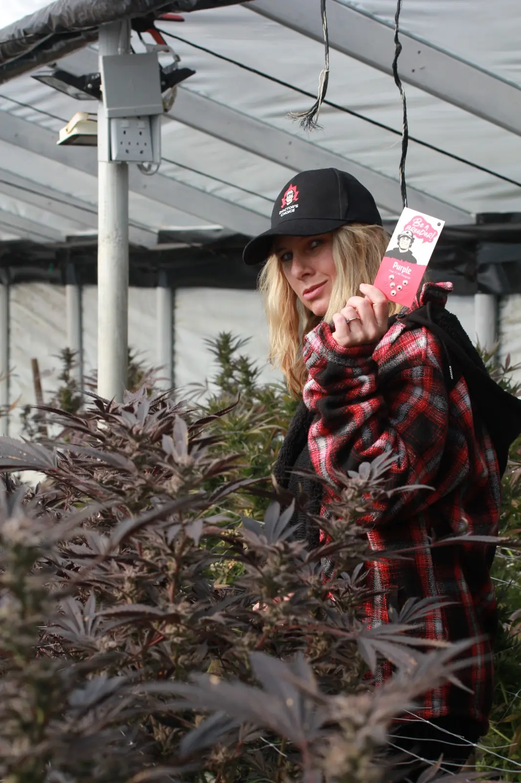 Jane holding a Purple Fast F1 BX Regular pack in a greenhouse