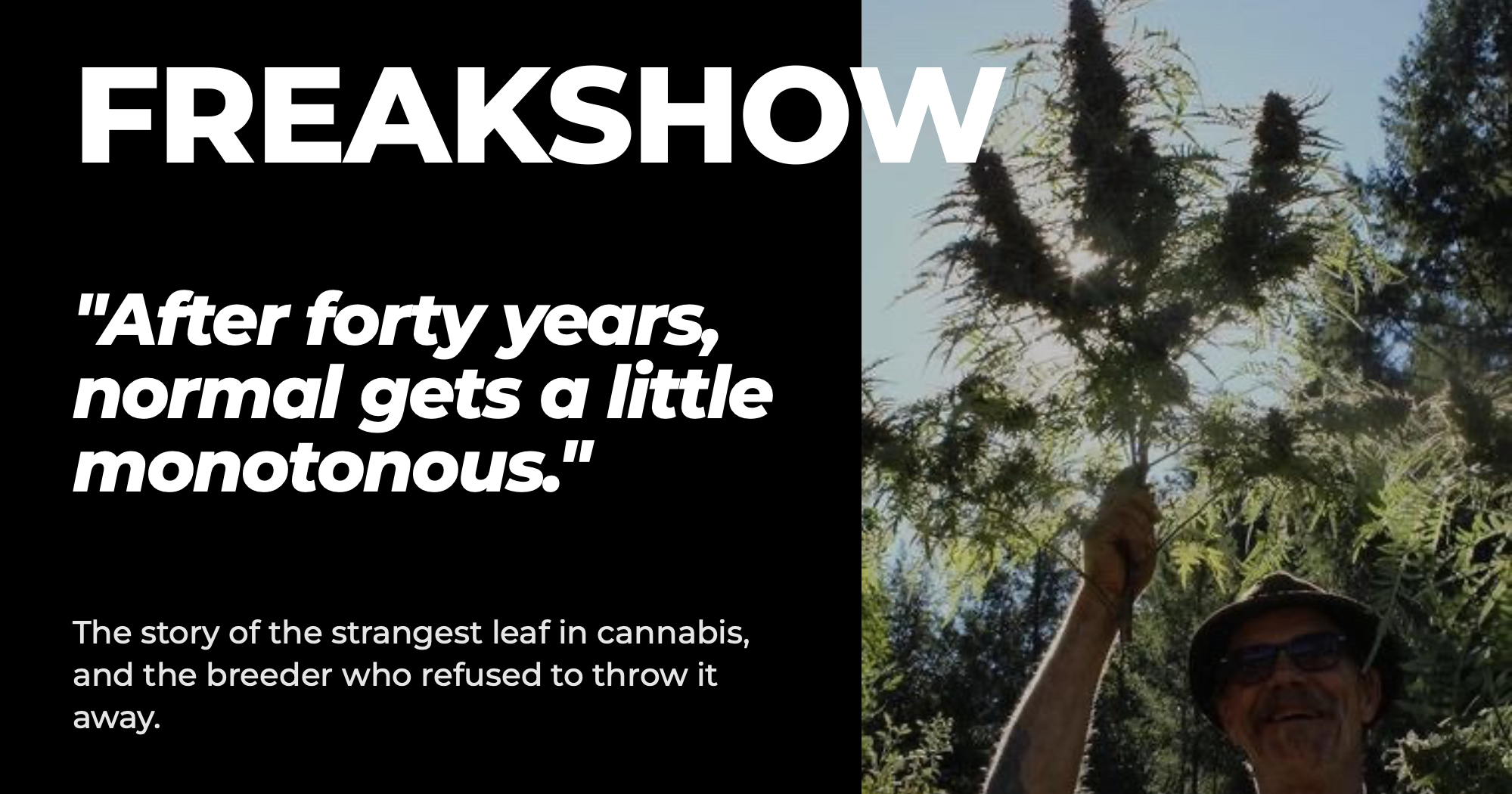 Freakshow cannabis mutation