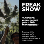 Freakshow: The History of Mutation