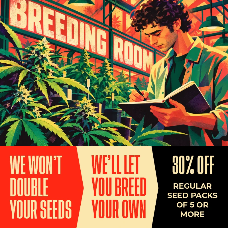 BREEDING ROOM LAUNCH: 30% OFF REGULAR SEED PACKS OF 5 OR MORE