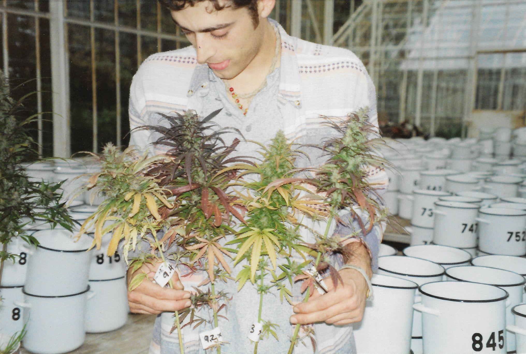 Young Sasha Przytyk in a greenhouse holding labelled cannabis cuttings among numbered pots